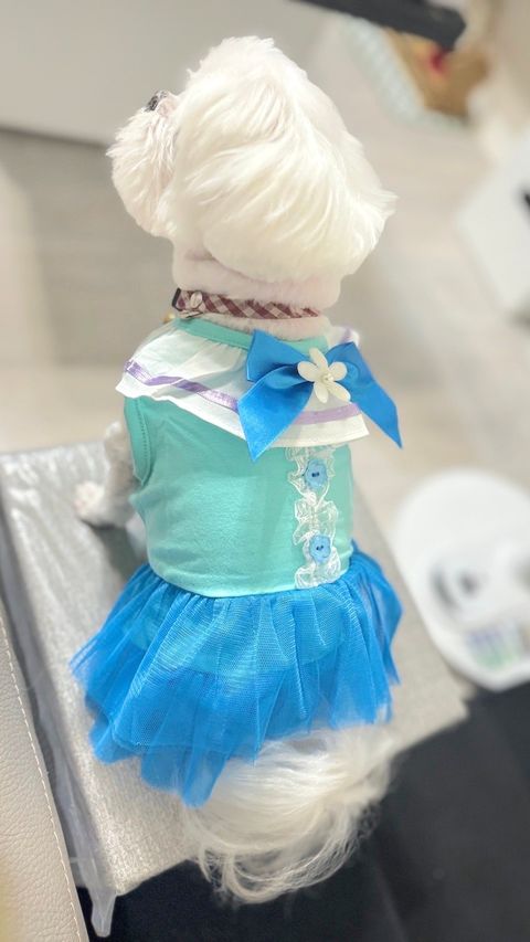 IMG_8201-1717405477261