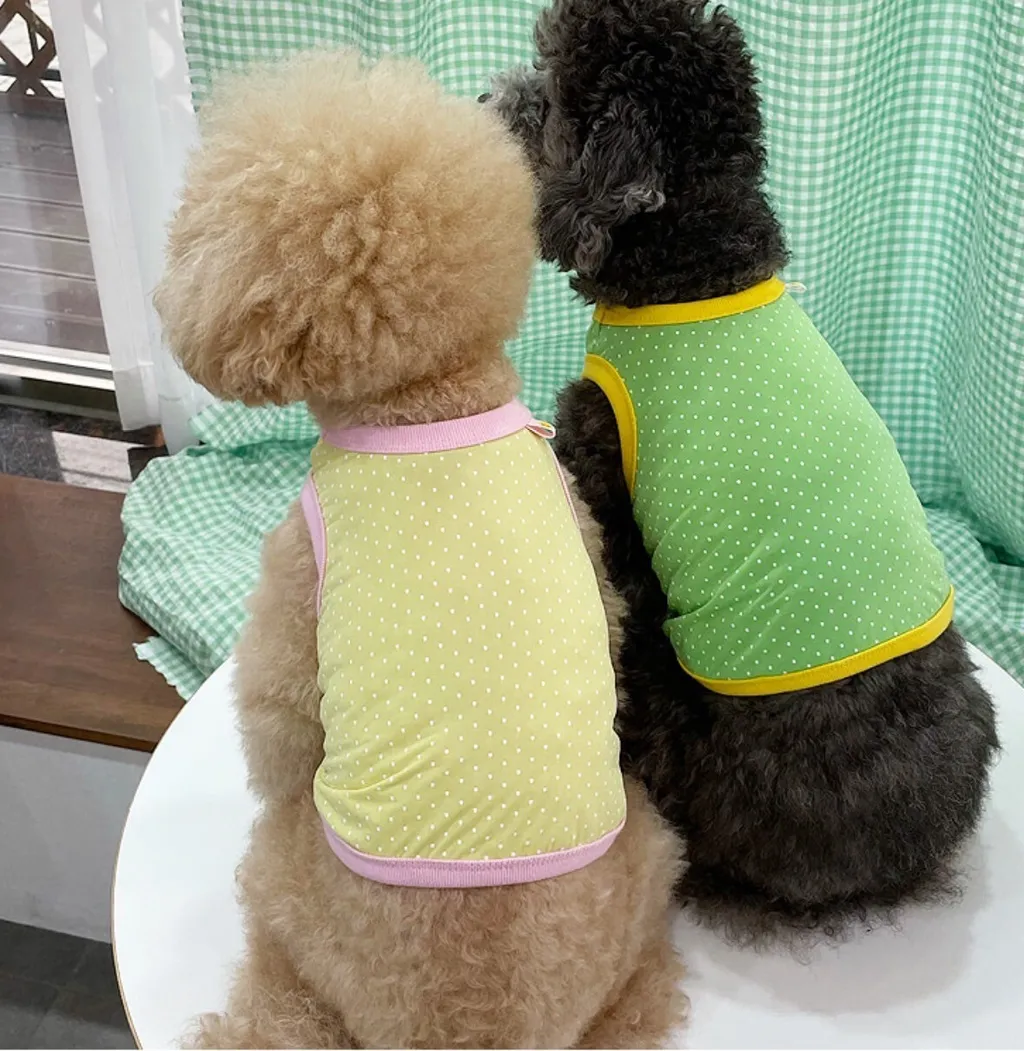 LINE_ALBUM_Appleapple_240604_3