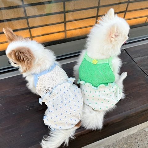 LINE_ALBUM_Appleapple_240604_23