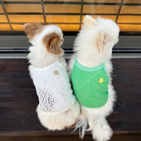 LINE_ALBUM_Appleapple_240604_46