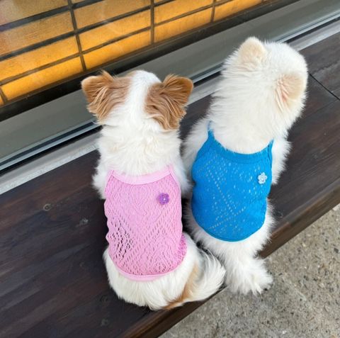 LINE_ALBUM_Appleapple_240604_45