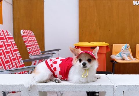 LINE_ALBUM_Appleapple_240604_57