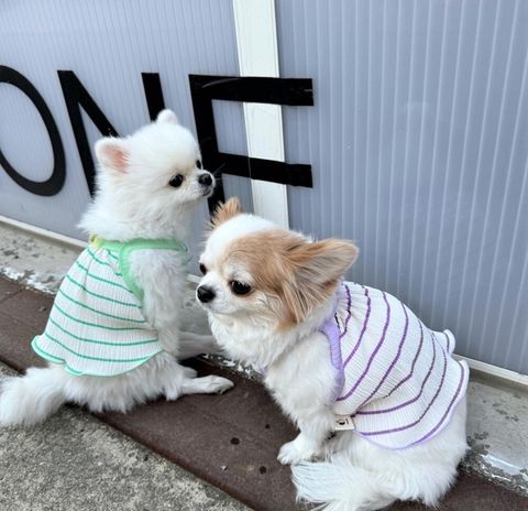 LINE_ALBUM_Appleapple_240604_81