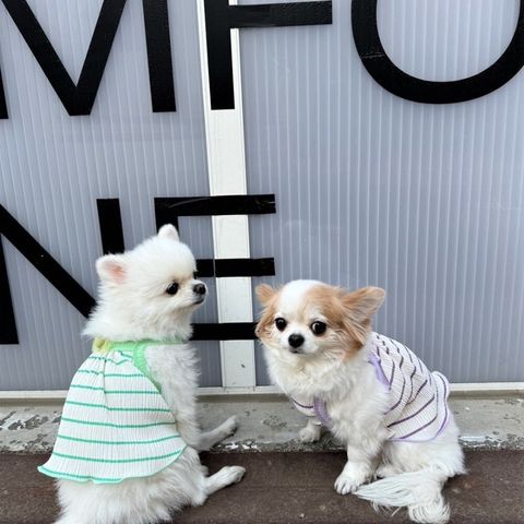 LINE_ALBUM_Appleapple_240604_82