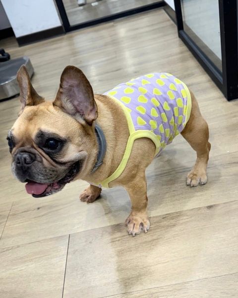 IMG_8241-1717495629853