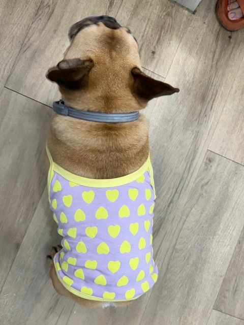 IMG_8250-1717495630088