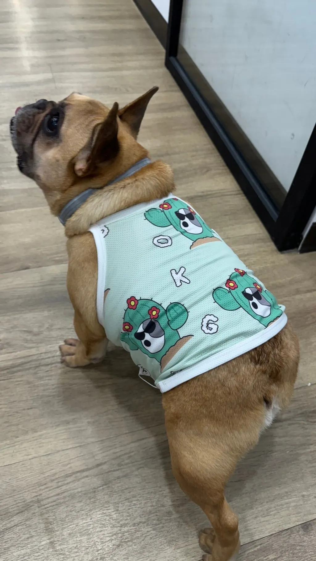 LINE_ALBUM_法鬥（bark dog_caconi)_240605_49