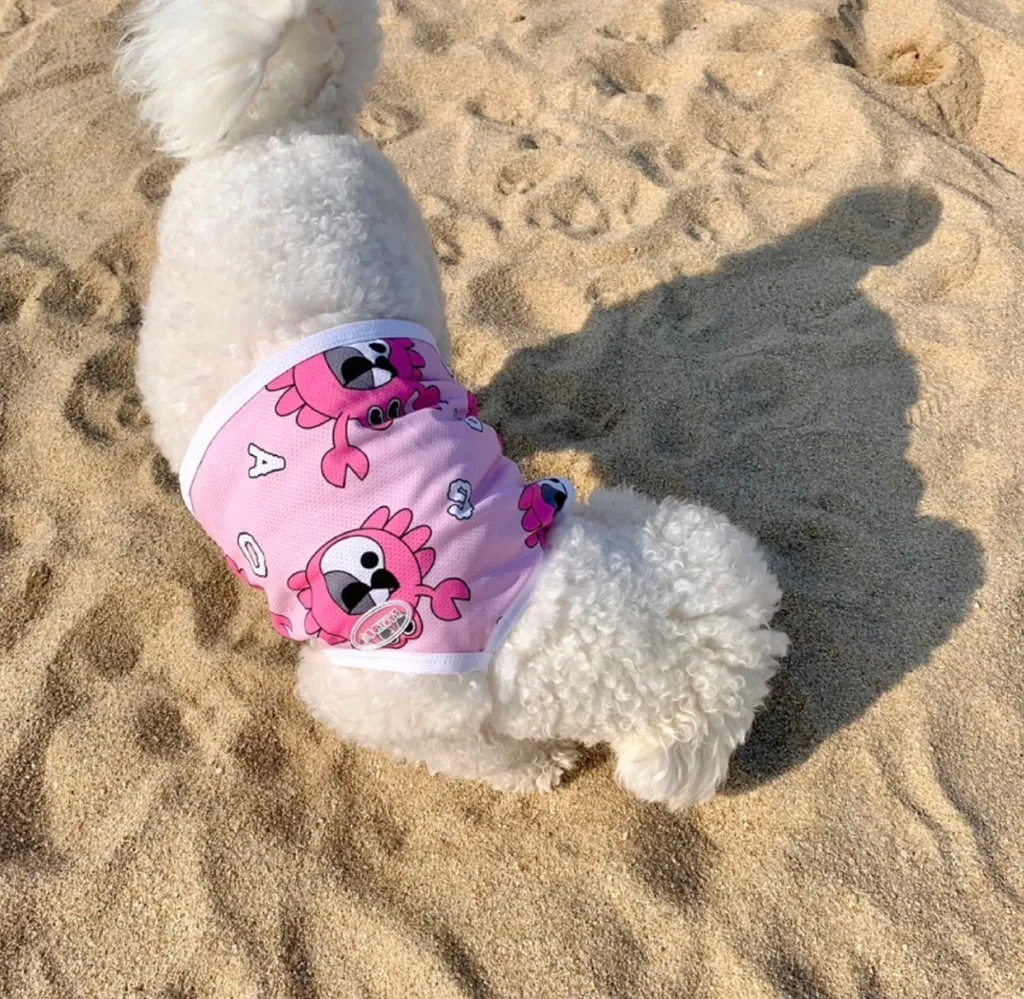 LINE_ALBUM_法鬥（bark dog_caconi)_240605_71