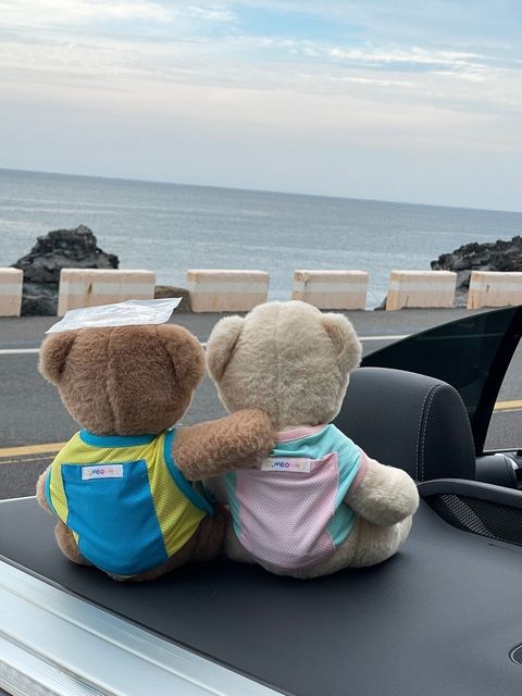 LINE_ALBUM_Dear meong_240715_15