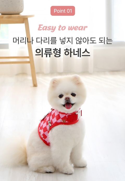 LINE_ALBUM_Itsdog 一般_240715_50