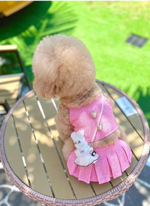 LINE_ALBUM_Buyalldog_240715_18