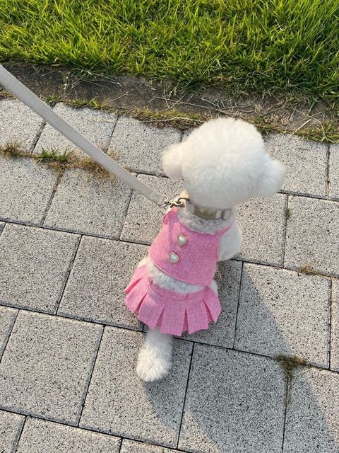 LINE_ALBUM_Buyalldog_240715_16