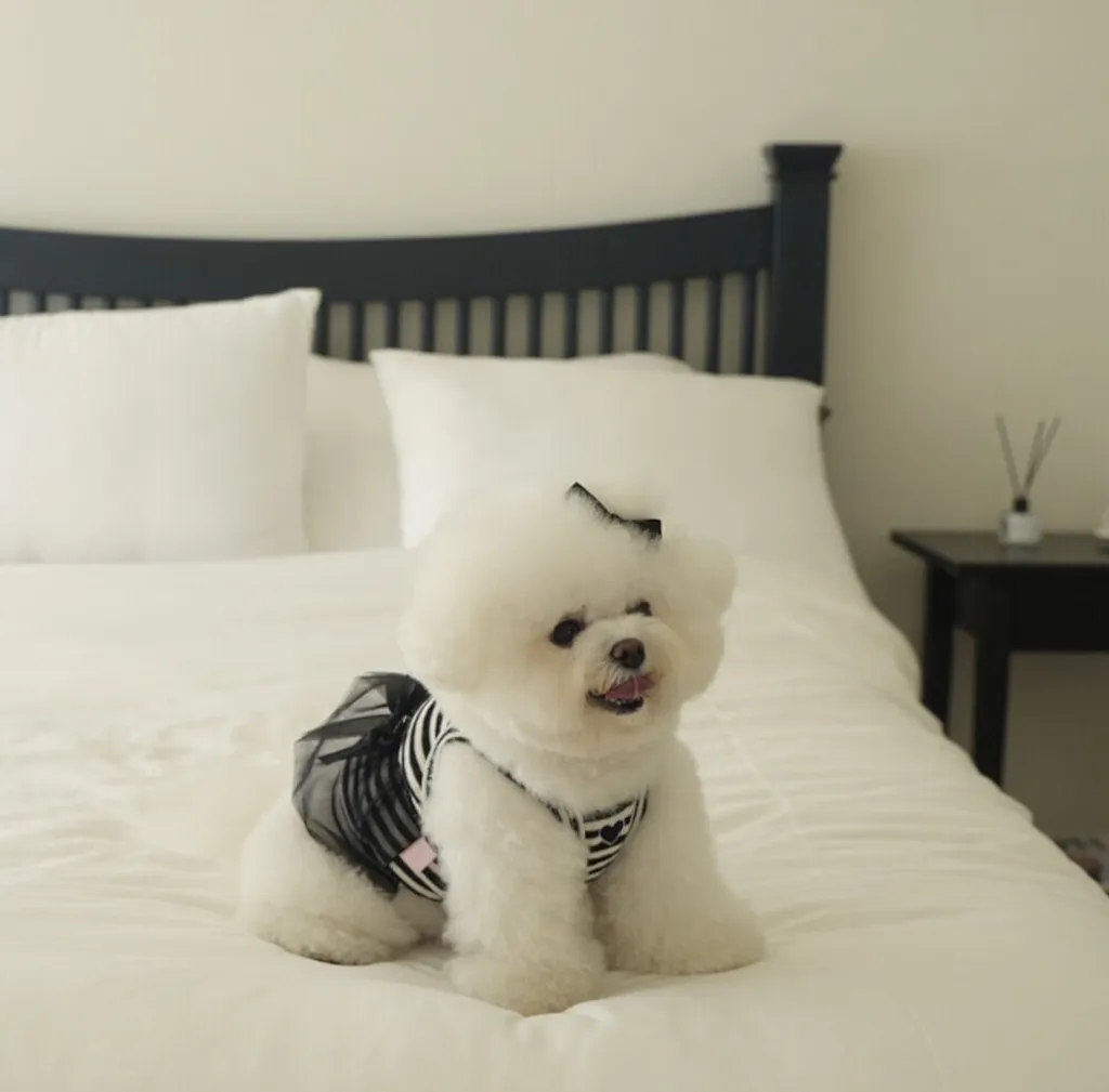 LINE_ALBUM_cheese  n mood_240717_13