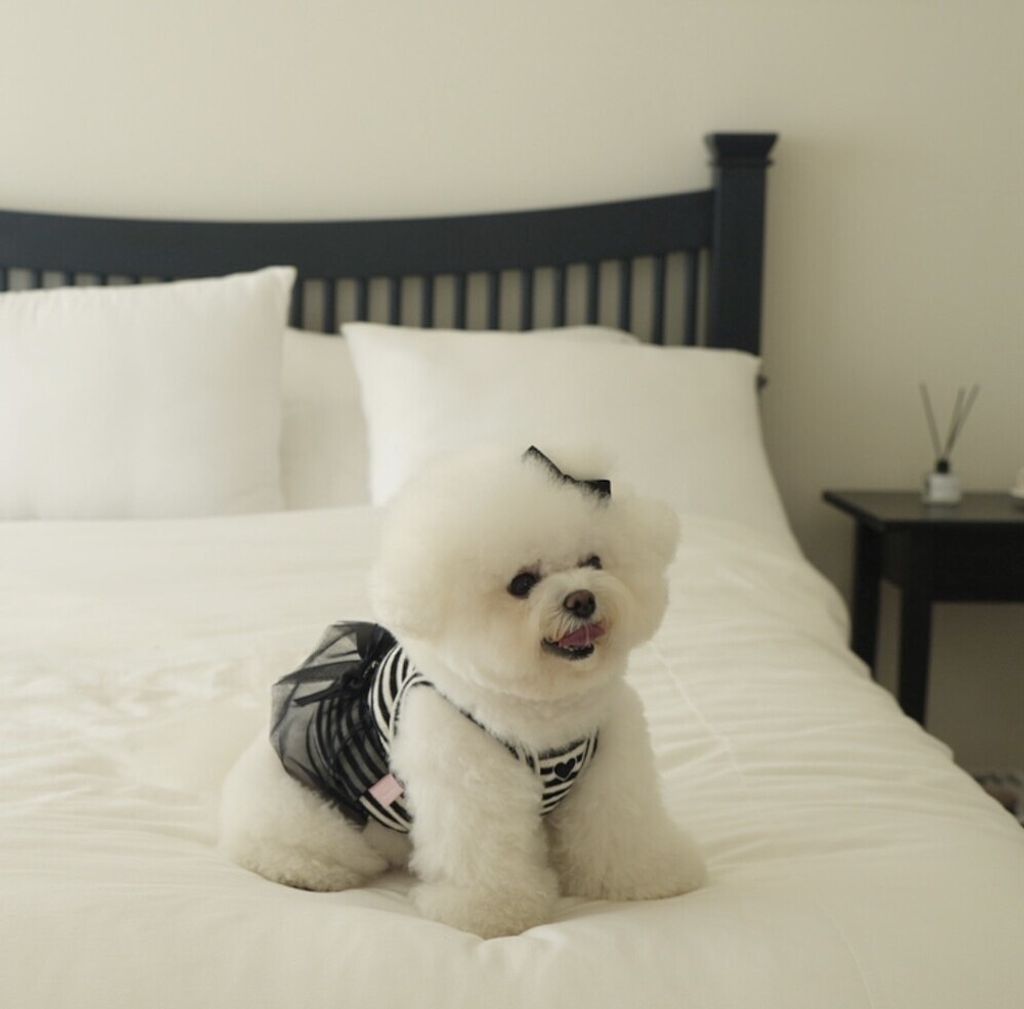 LINE_ALBUM_cheese  n mood_240717_13