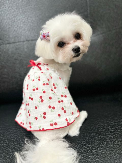 IMG_0310-1721387049832