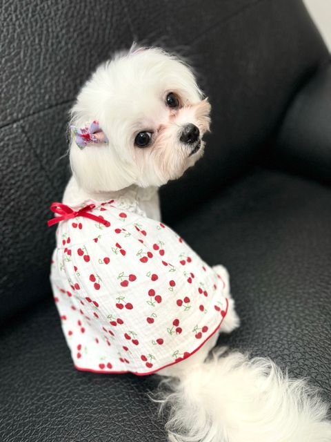 IMG_0311-1721387049830