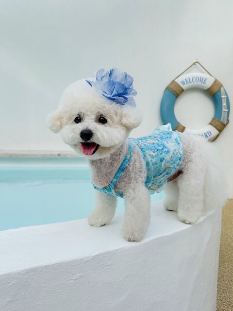 LINE_ALBUM_Moreluv_240809_15