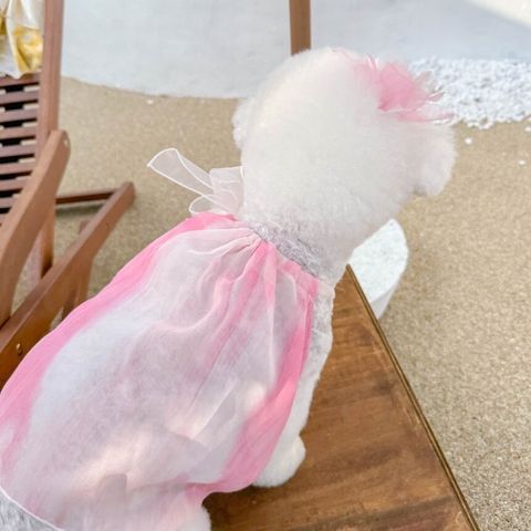 LINE_ALBUM_Moreluv_240809_6