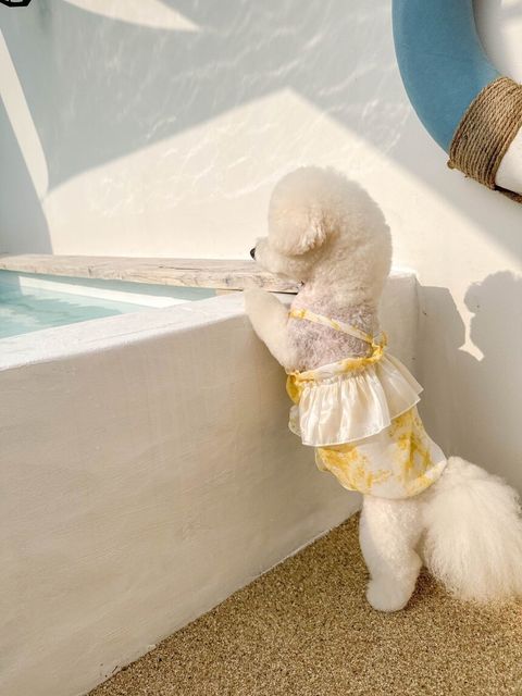 LINE_ALBUM_Moreluv_240809_4