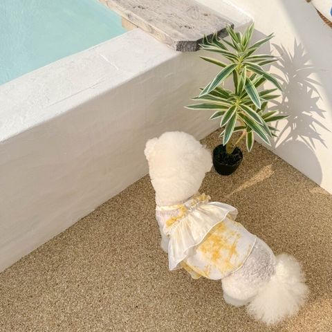 LINE_ALBUM_Moreluv_240809_2