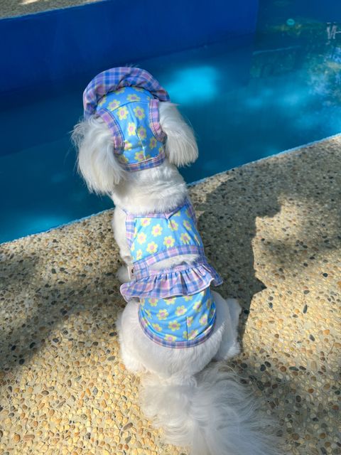 IMG_1635-1723352311084