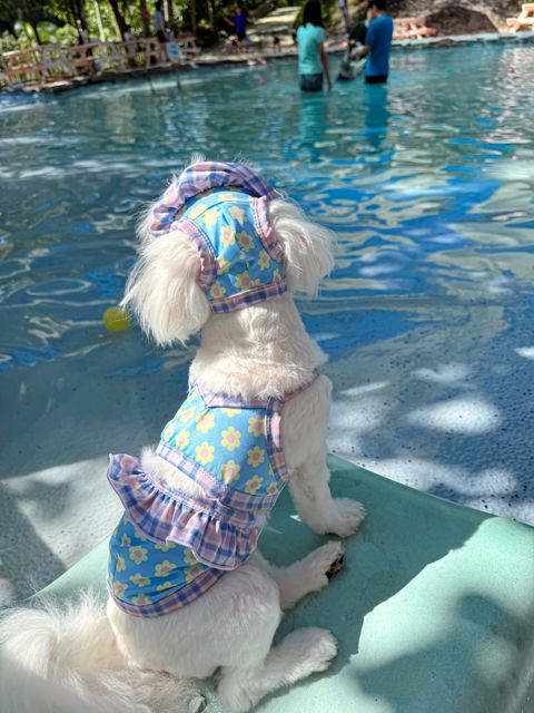 IMG_1646-1723352311093