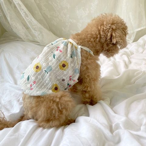 LINE_ALBUM__240923_52