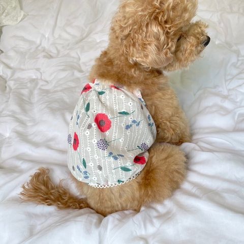 LINE_ALBUM__240923_53