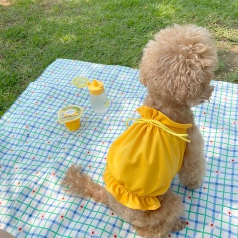 LINE_ALBUM_Moreluv_240924_39