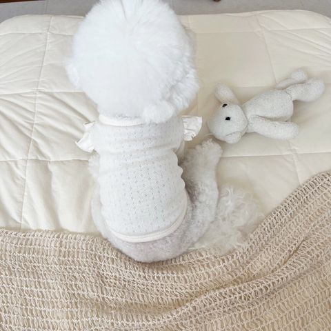 LINE_ALBUM_Little heart_240925_82