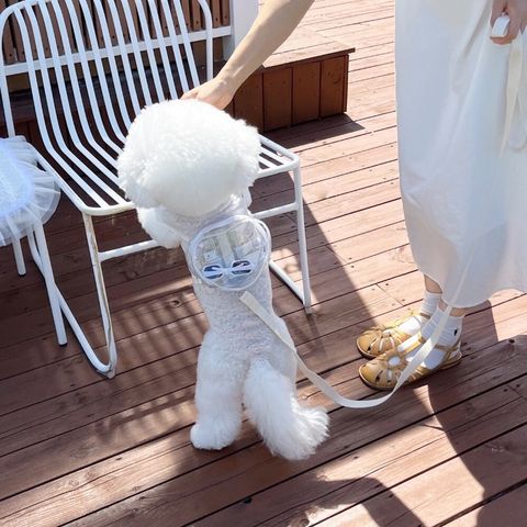 LINE_ALBUM_Little heart_240925_58