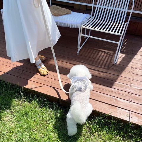 LINE_ALBUM_Little heart_240925_56