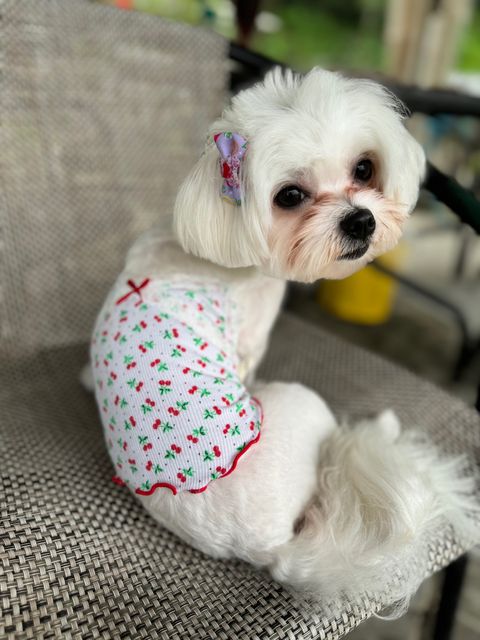 IMG_5916-1727264633466