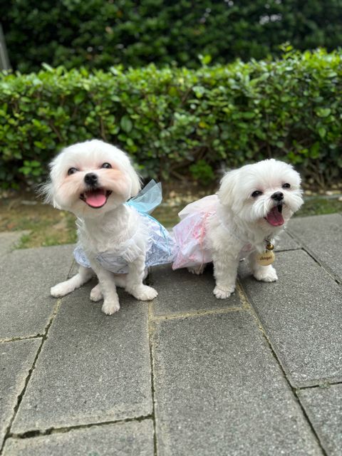 IMG_5924-1727266941809