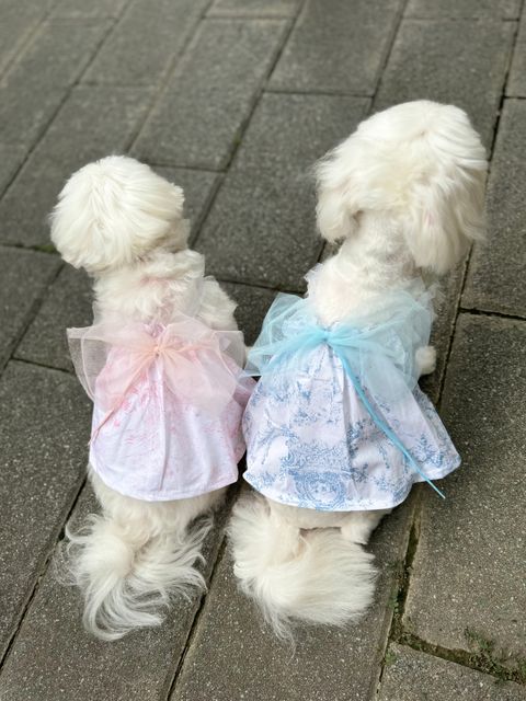 IMG_0577-1727267401533