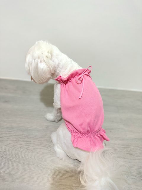 IMG_6365-1728123167448