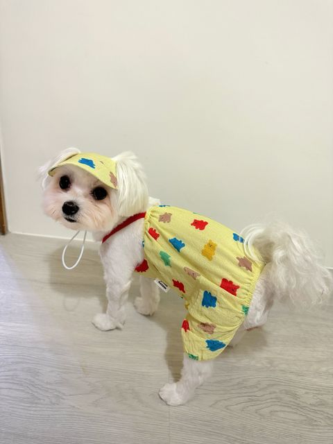 IMG_6407-1728126223443