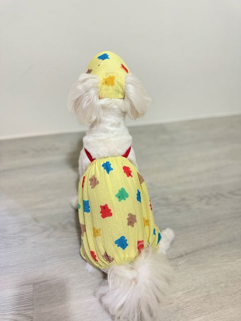 IMG_6381-1728126223020