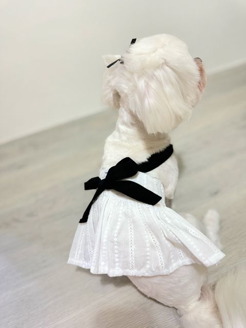 IMG_6413-1728127266245