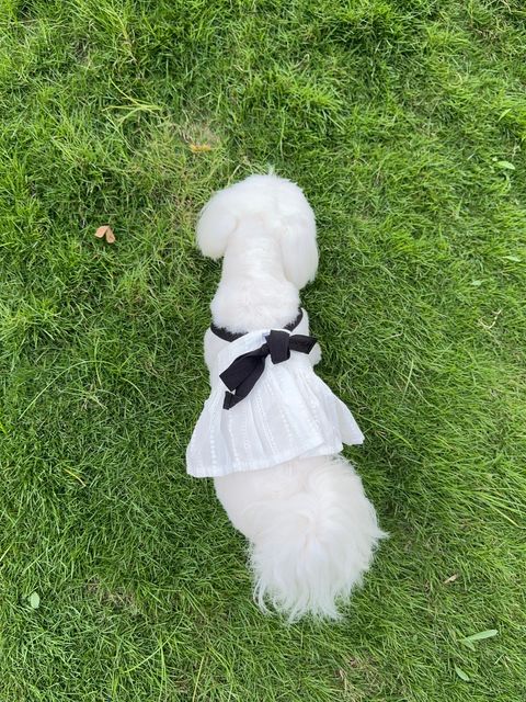 IMG_1702-1728127266263