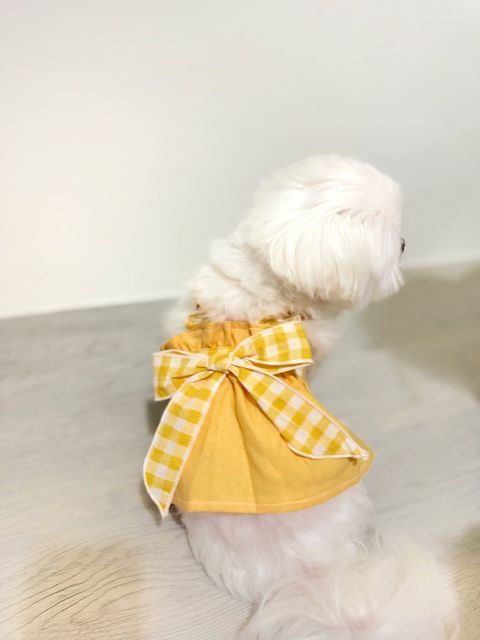 IMG_6455-1728187428443