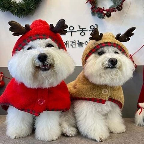 LINE_ALBUM_Zoobico_241005_64