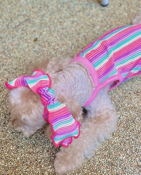 LINE_ALBUM_Himong_241007_63