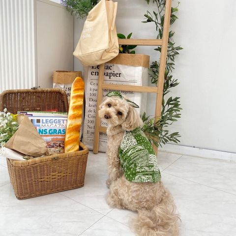 LINE_ALBUM_Himong_241007_95