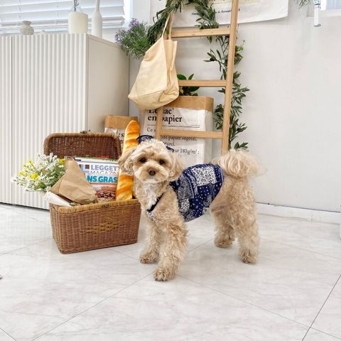 LINE_ALBUM_Himong_241007_86