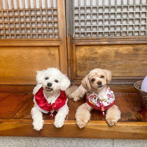 LINE_ALBUM_Himong_241007_152