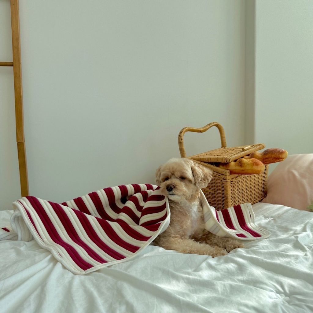 LINE_ALBUM_Himong_241007_127
