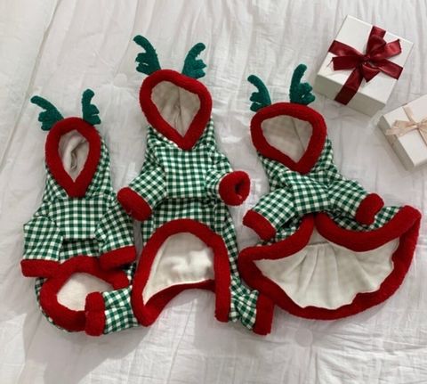 LINE_ALBUM_Frei_241015_22