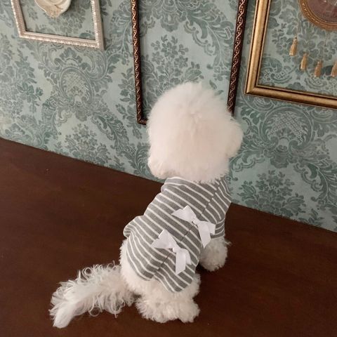 LINE_ALBUM_Frei_241015_53