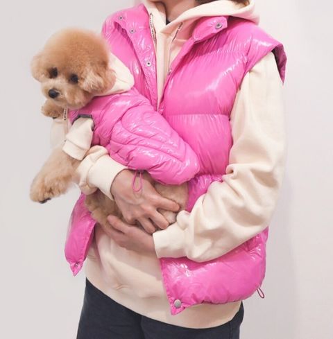 LINE_ALBUM_Grooming dog_241104_36